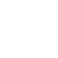 petrol icon